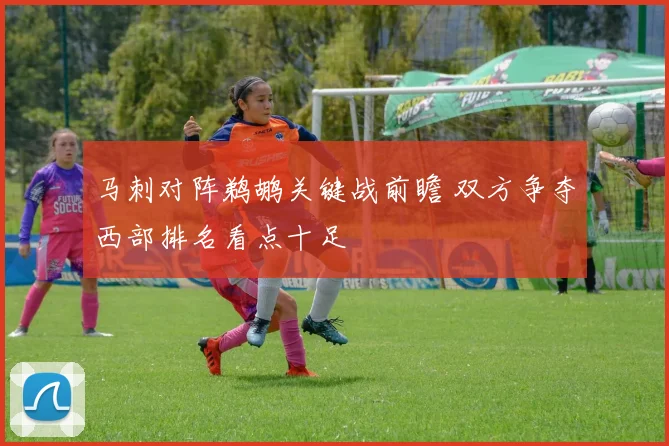 马刺对阵鹈鹕关键战前瞻 双方争夺西部排名看点十足