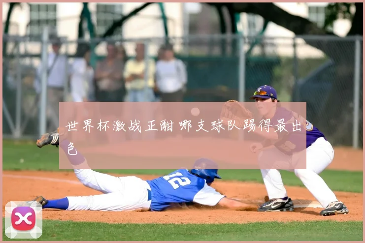 世界杯激战正酣 哪支球队踢得最出色
