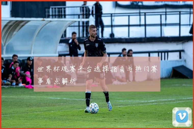 世界杯观赛平台选择指南与热门赛事看点解析